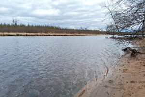 Northern Wisconsin land for sale near Lake Nokomis.