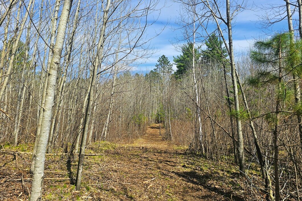 Oneida County land for sale near Lake Nokomis and Tomahawk, WI