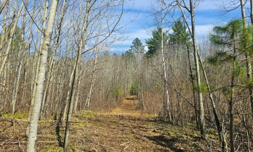 Oneida County land for sale near Lake Nokomis and Tomahawk, WI