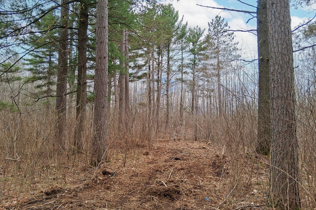 Oneida County land for sale near Lake Nokomis and Tomahawk, WI