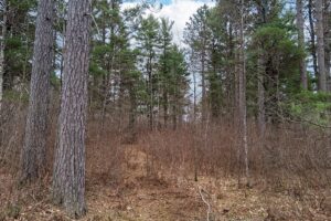 Oneida County land for sale near Lake Nokomis and Tomahawk, WI