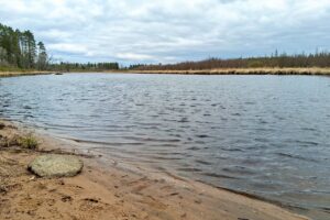Oneida County land for sale near Lake Nokomis and Tomahawk, WI