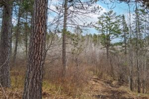 Oneida County land for sale near Lake Nokomis and Tomahawk, WI