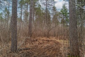 Oneida County land for sale near Lake Nokomis and Tomahawk, WI