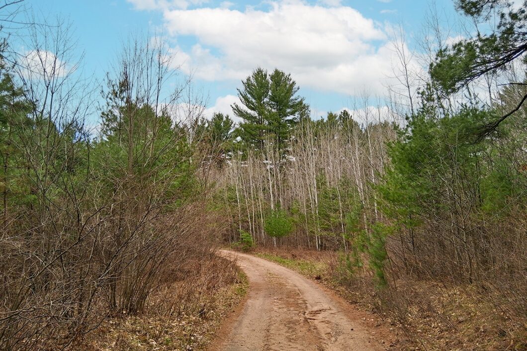 Land for sale near Lake Nokomis in Oneida County, WI