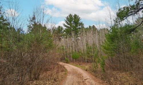 Land for sale near Lake Nokomis in Oneida County, WI