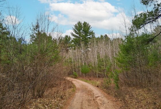 Land for sale near Lake Nokomis in Oneida County, WI