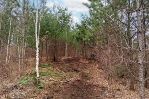 Land for sale near Lake Nokomis in Oneida County, WI