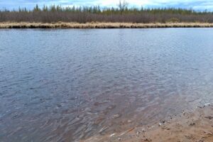 Land for sale near Lake Nokomis in Oneida County, WI
