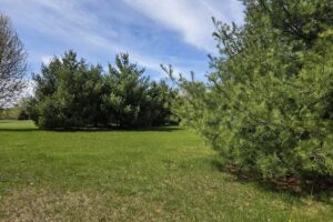 Waterfront property for sale on Fox River near Montello, WI