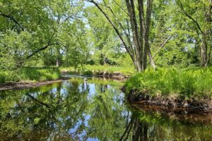 Somo River waterfront property near Tomahawk & Tripoli, WI. Includes cabin, well, septic, and electric. Nearly 400 ft frontage