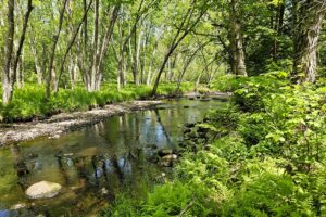 Somo River waterfront land for sale near Tomahawk & Tripoli, WI