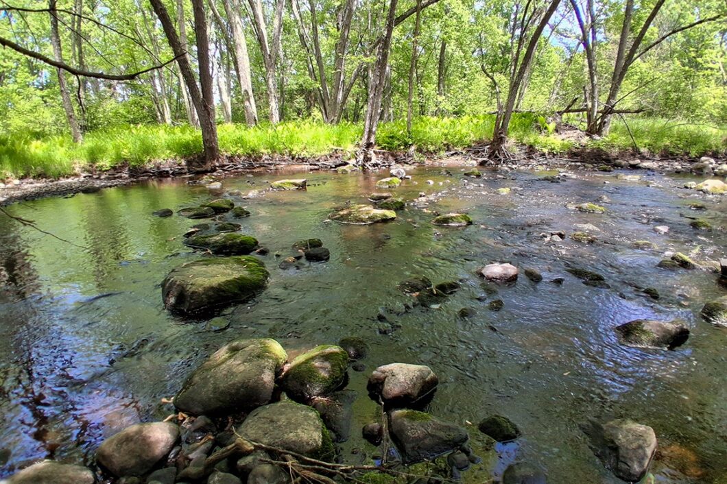 Somo River waterfront land for sale near Tomahawk & Tripoli, WI