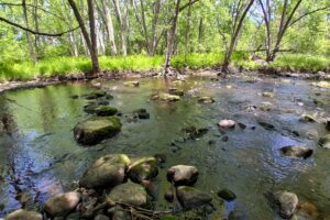 Somo River waterfront land for sale near Tomahawk & Tripoli, WI