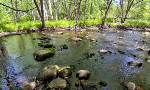 Somo River waterfront land for sale near Tomahawk & Tripoli, WI