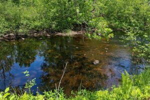 Somo River waterfront land for sale near Tomahawk & Tripoli, WI