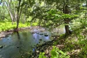 Somo River waterfront land for sale near Tomahawk & Tripoli, WI