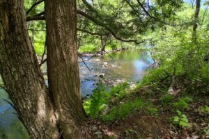 Somo River waterfront land for sale near Tomahawk & Tripoli, WI