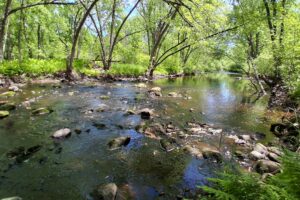 Somo River waterfront land for sale near Tomahawk & Tripoli, WI