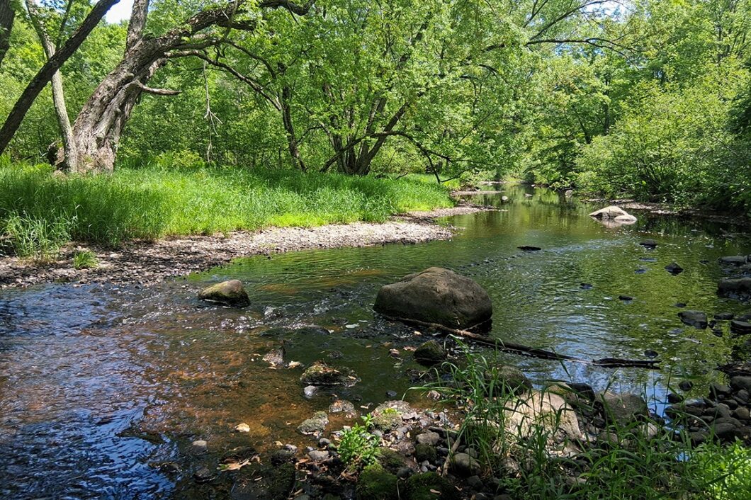 Wooded Acreage for sale along the Somo River near Tomahawk, WI