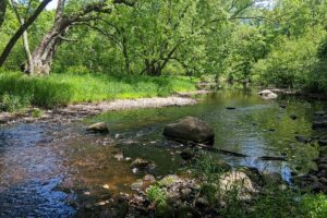Wooded Acreage for sale along the Somo River near Tomahawk, WI