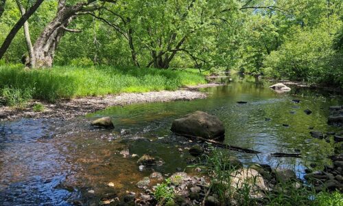Wooded Acreage for sale along the Somo River near Tomahawk, WI