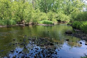 Wooded Acreage for sale along the Somo River near Tomahawk, WI